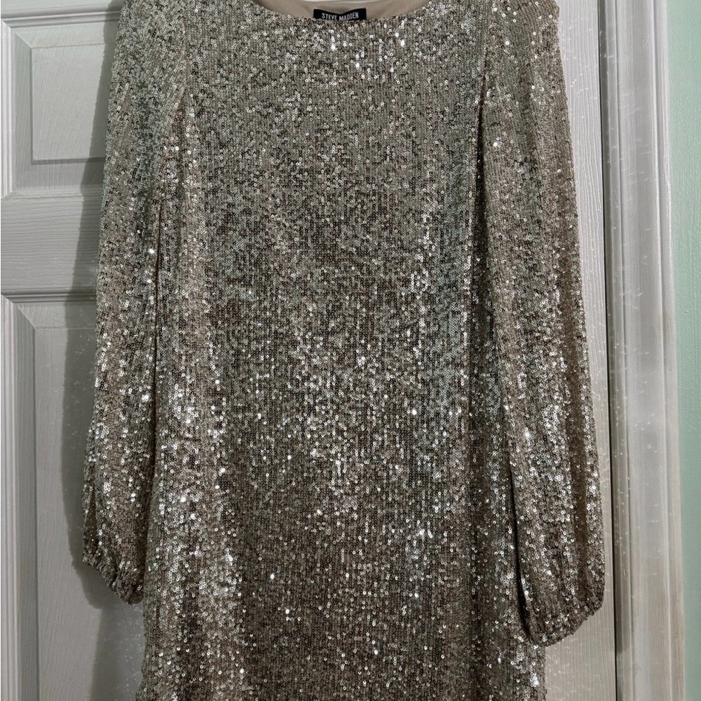 Steve Madden Silver Sequin Long Sleeve Dress